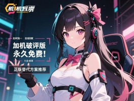 单机破解版永久免费有哪些风险,如何安全获取,正版替代方案推荐